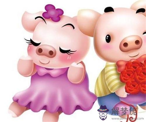 2、屬豬的生肖和屬相婚配:屬豬的和什麼屬相相配