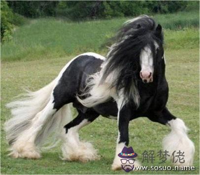 3、男女婚配男龍女馬好嗎:男龍女馬配嗎？