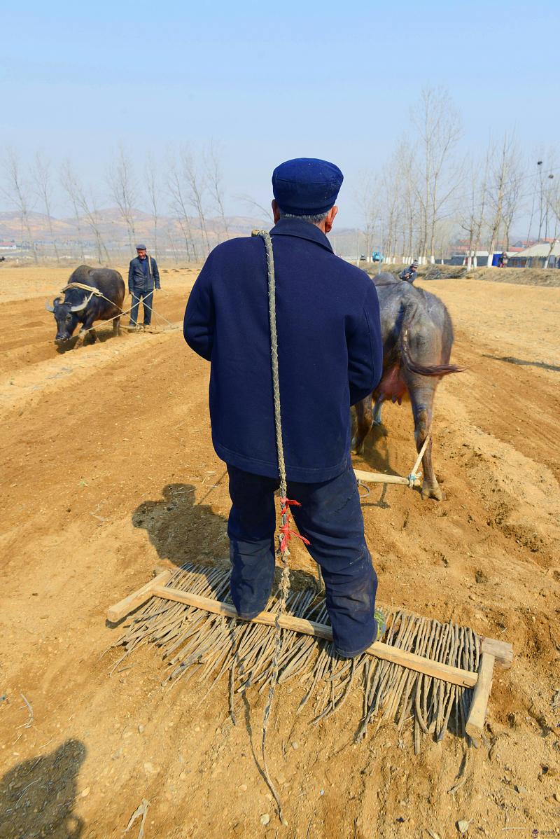 3月老牛遍地走好不好：破月是不是要按月令氣節來看的 怎麼看呢