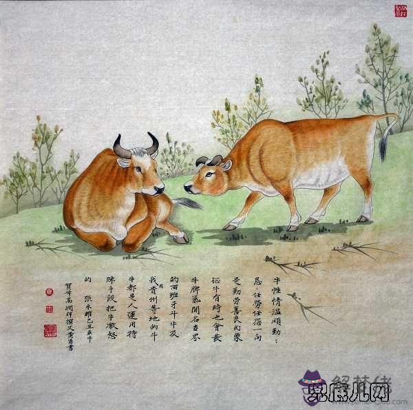 為何屬牛的本命年非常好：年屬牛本命年送什麼禮物好 寓意好嗎？