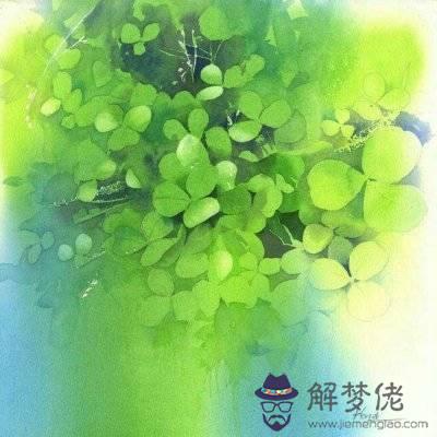 要帶水帶草的名字 姓龔 是個女孩 望大家有好的建議 名字要好聽哦