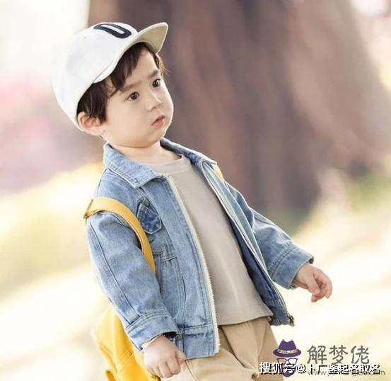 牛年的寶取什麼字比較好：牛年男孩起名字好寓意的字