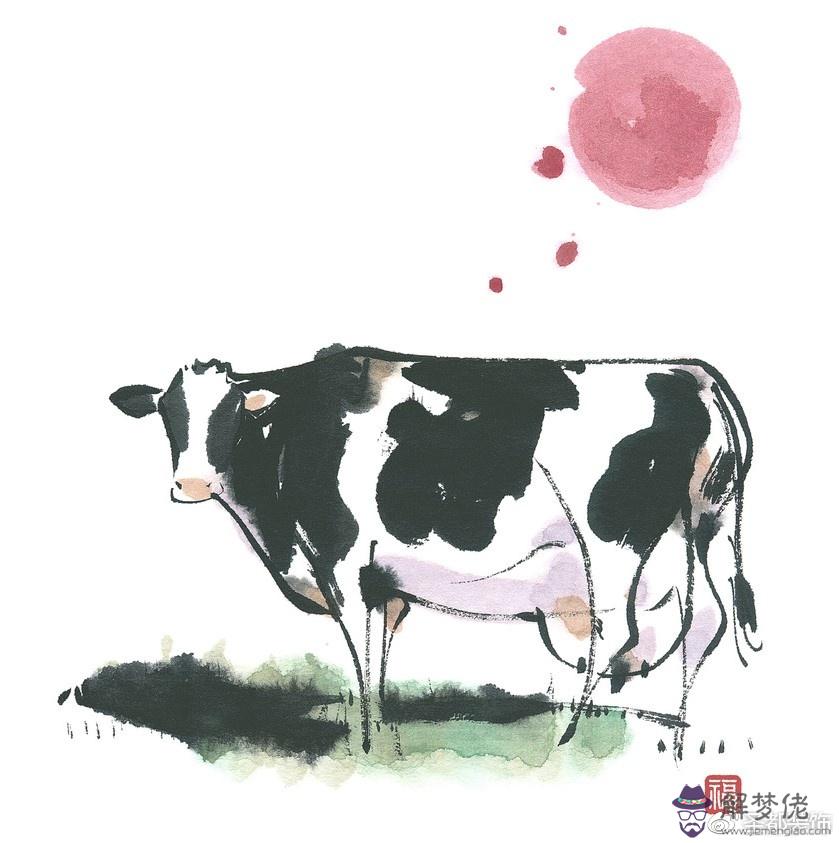 屬牛今年每月運勢：73年屬牛哪年發財