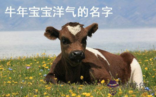 牛年寶起名大全集：年好聽的寶名字