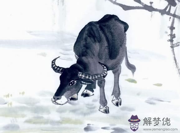 年金牛四月出生命好：牛年幾月出生最好命年