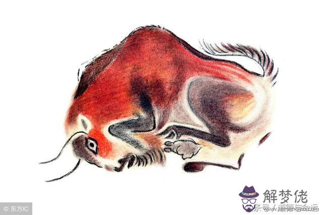 年幾月份牛是金牛命：年屬牛是什麼命