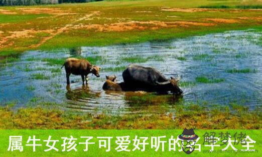 2021屬牛的寶寶取什麼名字好：男孩名字2021年屬牛