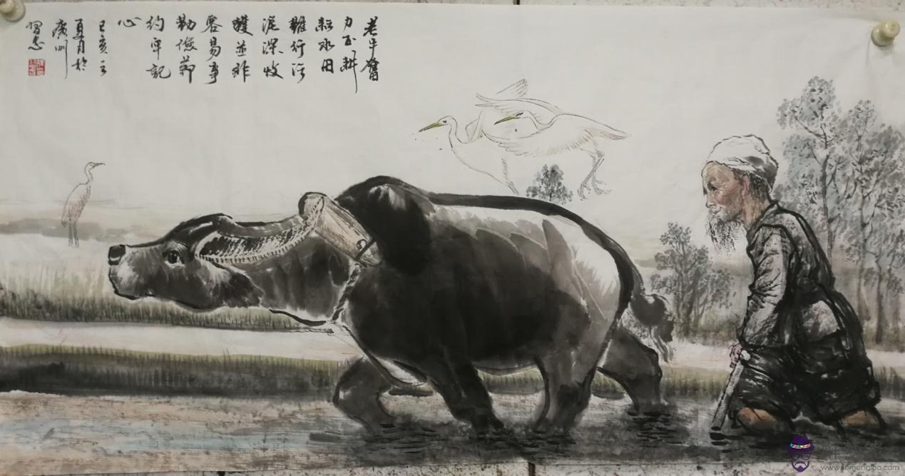 屬牛女孩帶草寓意的名字：又有寓意帶草字女孩名字性涂