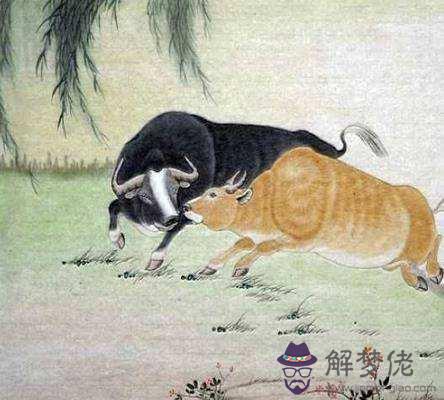 我是85 年的屬牛的，為什麼今年運氣特差，做什麼都不順利。