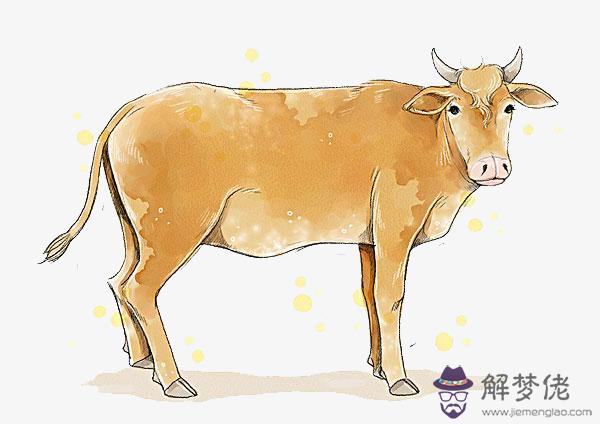 屬牛農歷幾月生人命運最好：求解請問屬牛的。幾月出生的牛命最好。