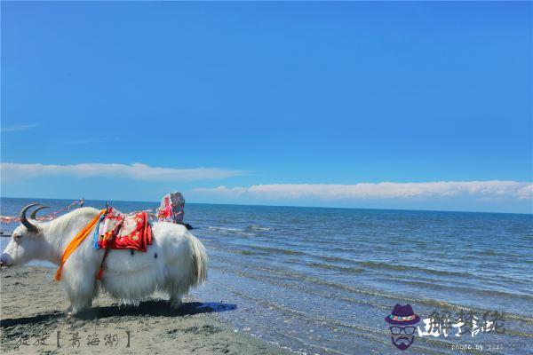 屬牛的海中金命的女人：兩個都屬牛!都是海中金的命!結婚好不好