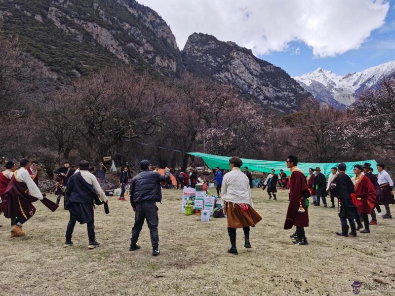 三月老牛遍地走啥意思：三月老牛遍地走什麼意思