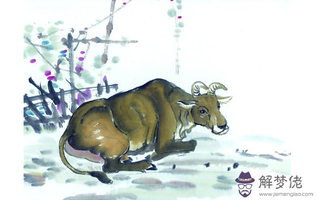 97年八月的牛命運如何：年的屬牛命運
