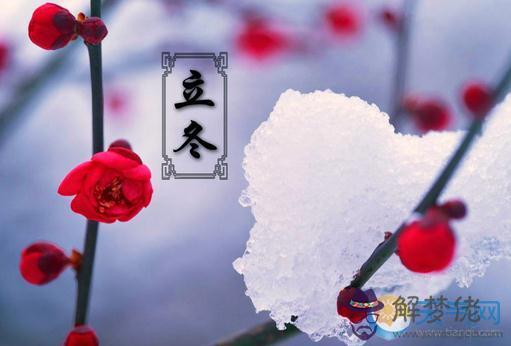 屬牛的犯月是哪幾個月：屬牛的女3月是犯月說的是農歷還是公歷