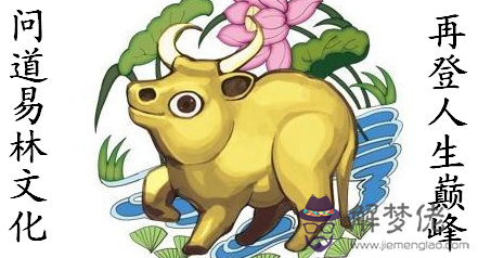 五月份屬牛的人好不好：屬牛生于年后5月好嗎命運
