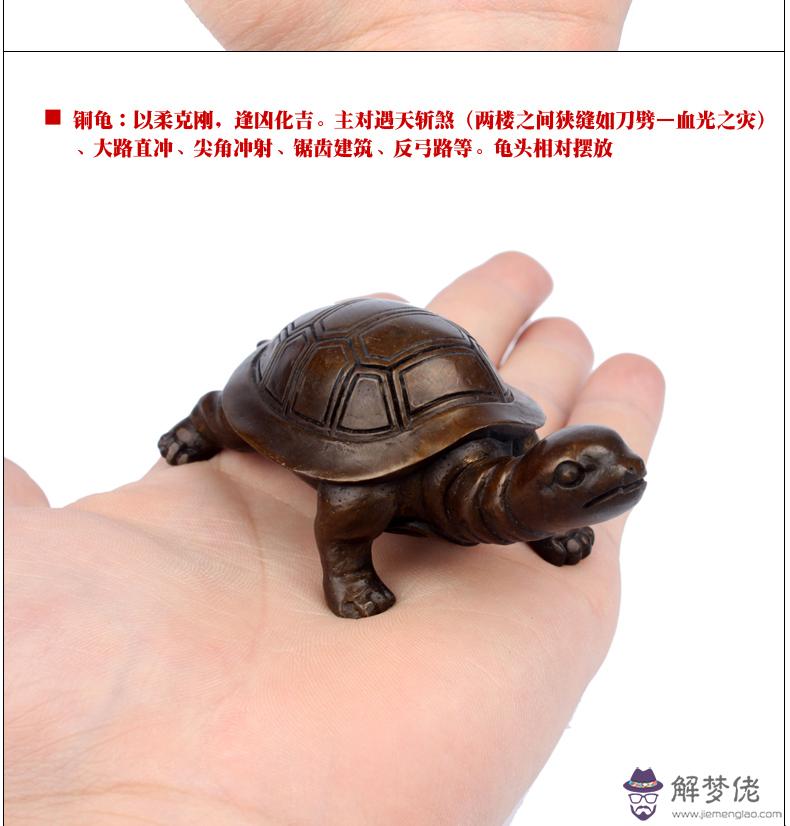 家居風水烏龜的正確擺設：烏龜放在家里什麼位置好？