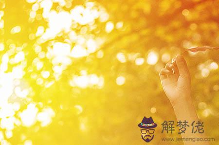 懷孕50天驗血查男女準嗎：懷孕50天驗血能知道胎兒性別嗎?