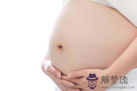 巴西龜養一只好還是養兩只好：要養巴西龜 最好養一只 還是兩只？