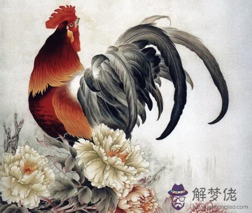 屬雞的屬雞的配對好嗎:請問屬雞真的不可以和屬雞相配嗎