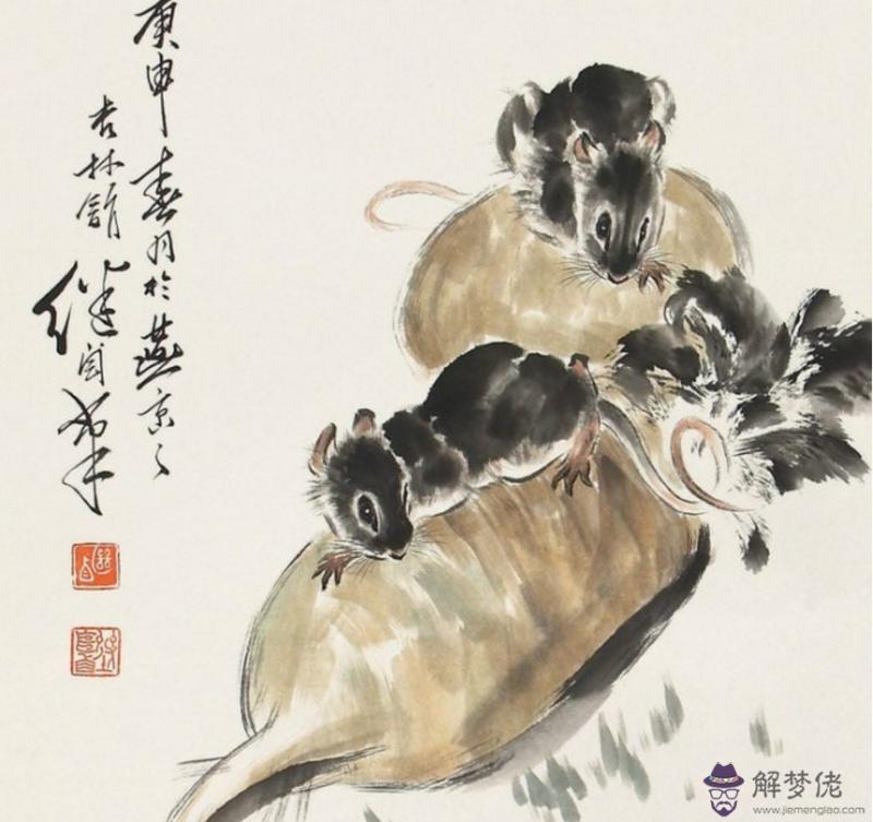 為什麼屬鼠1996的命苦:屬鼠的命運好不好