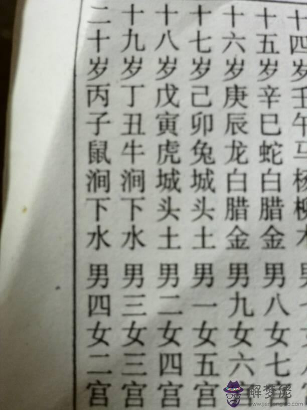 2009年屬鼠是什麼命:屬鼠是什麼命
