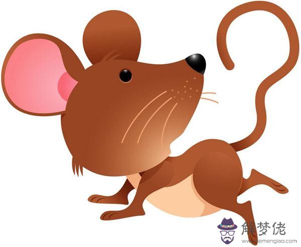 屬鼠農歷四月出生好嗎:農歷4月屬鼠的女性好嗎