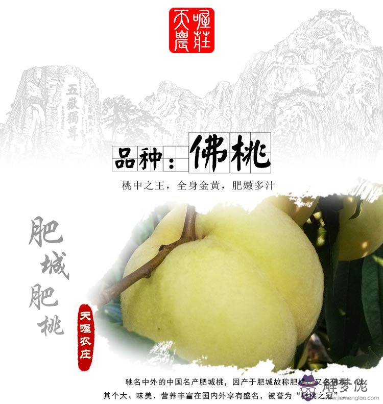 屬鼠的取什麼名字好:屬鼠的用什麼名字好