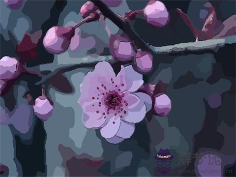 2020屬鼠桃花:2017年屬鼠的桃花運鼠