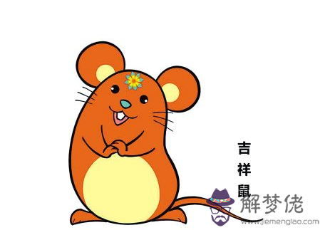 屬鼠今年的財運:屬鼠今年運勢人