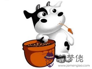 屬鼠和屬雞的合不合:屬雞男和屬鼠女合不合