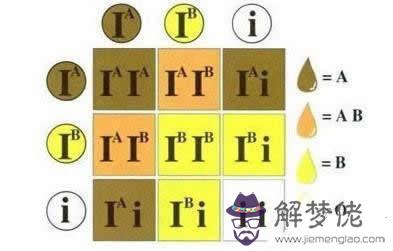 血型婚姻配對表:血型傳輸表