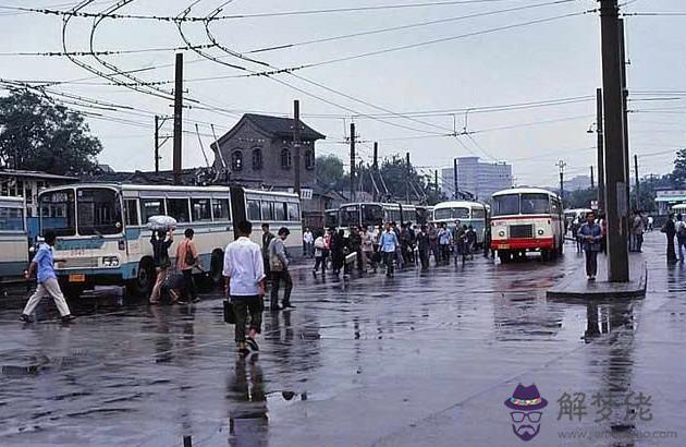1983年屬什麼:1983年屬豬和什麼屬相最配