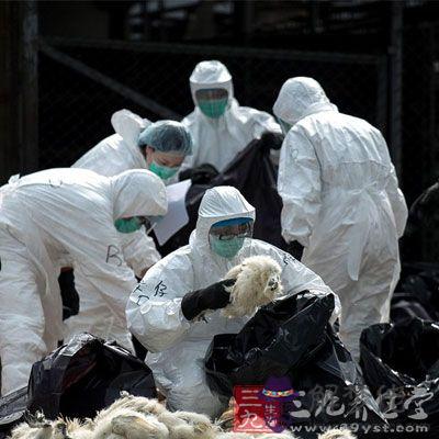 美國流感疫情最新消息:美國也爆發了流感,一年就死了近5萬人嗎