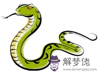 龍和蛇相配婚姻如何財富怎麼樣:有誰知道屬龍女和屬蛇男到底是怎樣的婚姻?