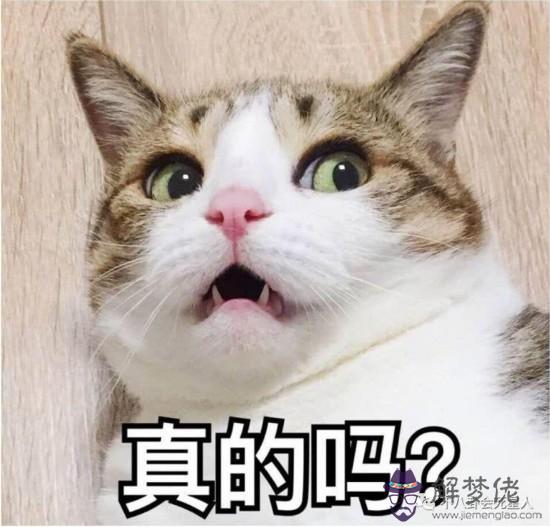 55歲屬什麼生肖:53屬什麼?55什麼屬相?