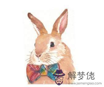 屬兔生在幾月最命苦:屬兔幾月份命好