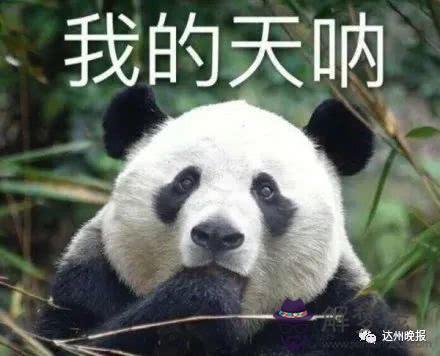 39歲屬什麼生肖:我是女人,今年39歲,找什麼屬相的男人合適