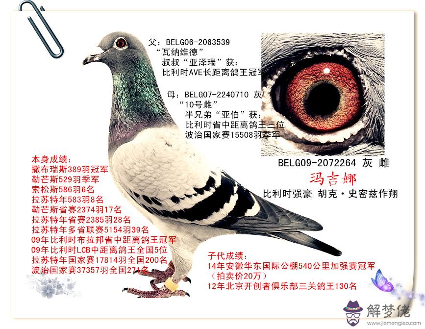 09年屬什麼生肖:十二生肖2009年屬什麼