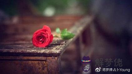 天蝎座2020會發生的幾件事:天蝎座2020年1月7號幸運色是什麼顏色?