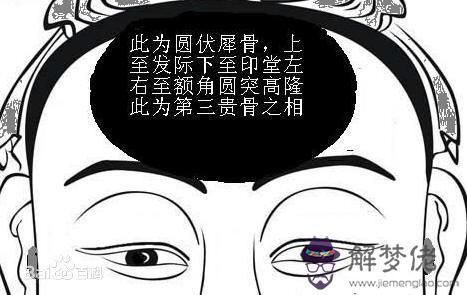 骨的:我鼻子上有一個鼓起來的骨頭,是是會離婚嗎