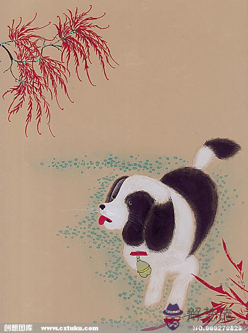 幾月份鼠與馬不相沖:鼠和馬相沖什麼能解
