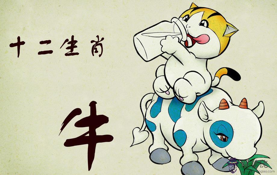97屬牛適合哪個行業:97年屬牛的男人適合什麼行業?
