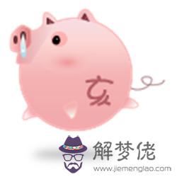 屬豬的人今日運勢財運在哪方向:屬豬今日財運在哪個方向