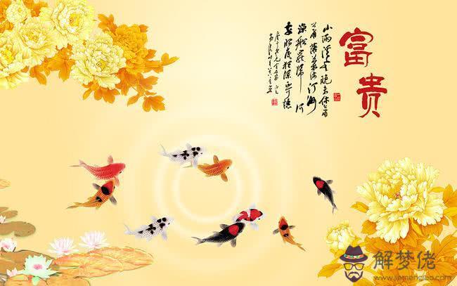 12生肖2020運勢排名:2019十二生肖運勢詳解