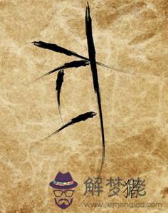 1995屬豬的姻緣方位:屬豬的嫁什麼屬相好?嫁那個方向好?