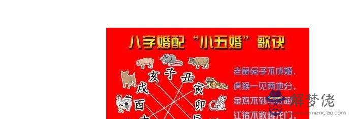 免費八字婚配查詢:生辰八字配對查詢