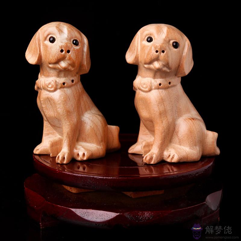 適合屬狗人長期佩戴的吉祥物:哪些動物是屬狗人的吉祥物
