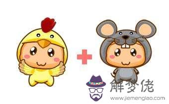 鼠和雞相配婚姻如何:屬雞和屬鼠的合的來嗎?