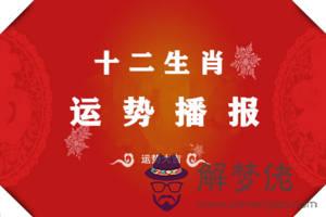 2020年十二生肖每月運勢:1983年生肖豬2020年運程?