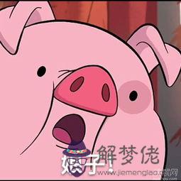 豬與猴相配的婚姻如何在一起好嗎:豬與猴能相配嗎
